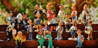 Ile się zarabia jako weterynarz?