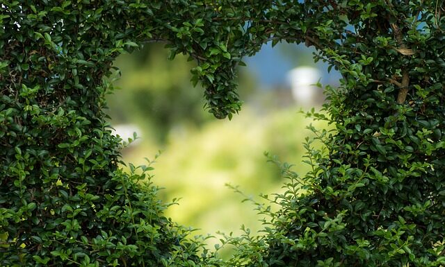 Jak tanim kosztem zrobić ogród?