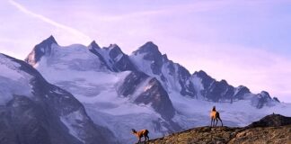 Jakie buty na letni trekking?