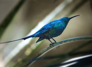 Czy każda fakturę trzeba rozliczyć?