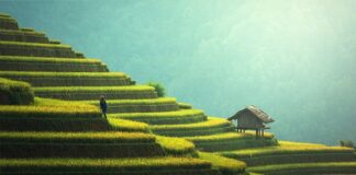 Z czego można zrobić taras?