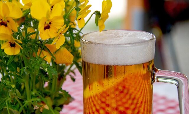 Jak tanio urządzić ogródek?