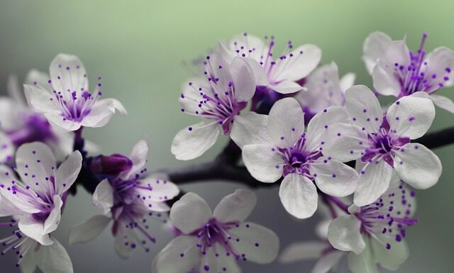 Jak głęboko słupki pod taras?