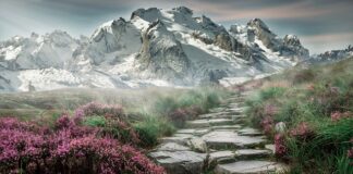 Jaka 125 do turystyki?