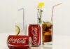 Czy soda oczyszczona zabija pleśń? Czy soda oczyszczona zabija pleśń?