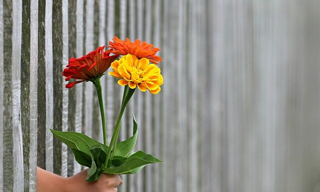 W jakiej odległości od granicy działki można postawić ogrodzenie?