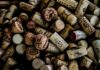 Czy Zinfandel to Primitivo?