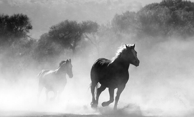 Czym będziemy palić w przyszłości?