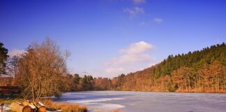 W jakiej temperaturze zamarza Coca Cola?