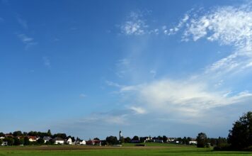Co zrobić żeby wodą nie stała na działce?