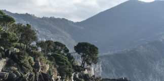 Ile kosztuje godzina podlewania ogrodu?