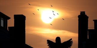 Ile jest domów ogrzewanych węglem?