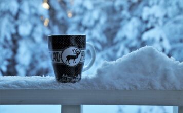 Ile może stać otwarty grzaniec? Ile może stać otwarty grzaniec?
