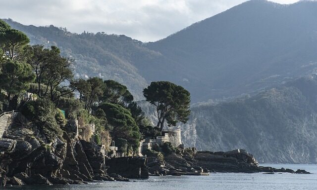 Ile kosztuje 1 kW mocy przyłączeniowej?